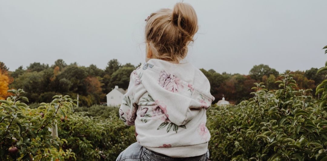 Parent Carer wellbeing courses available in January and February 2020