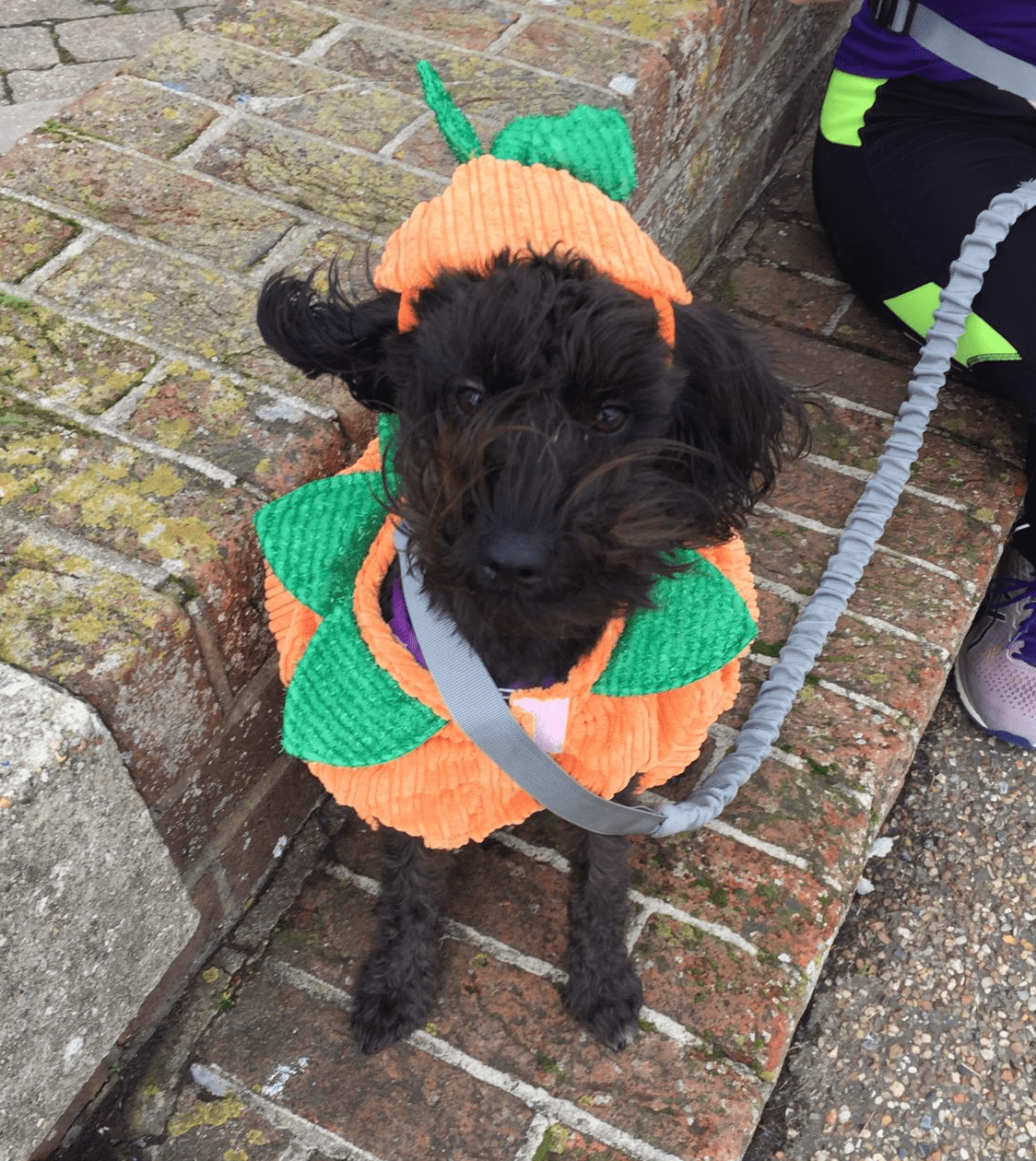 Maggie fundraises for carers in East Sussex Maggie fundraises for carers in East Sussex