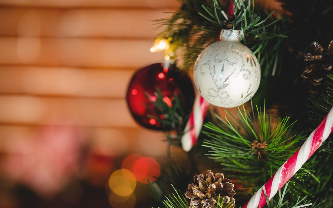 Support for carers this Christmas