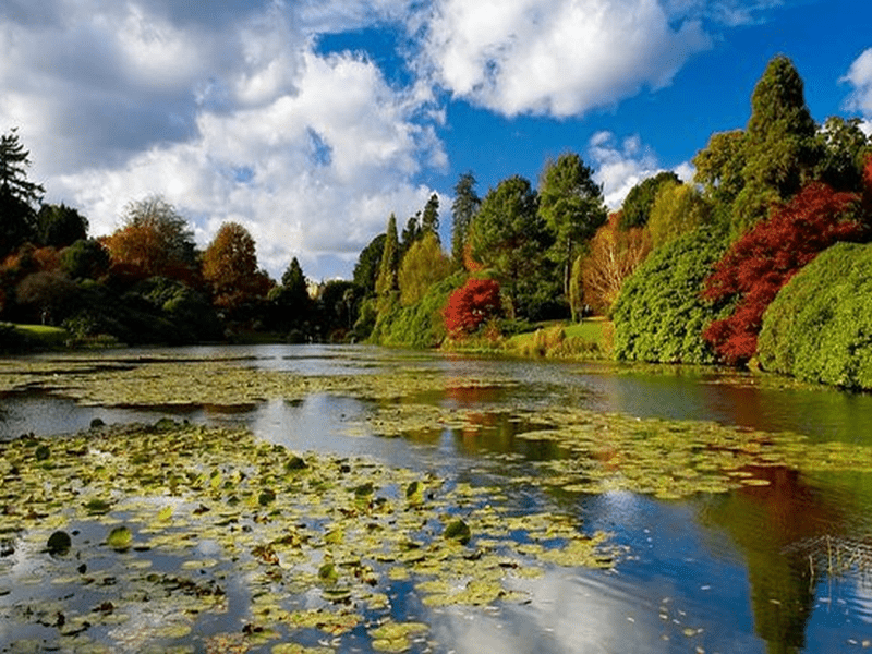 Sheffield Park for carers