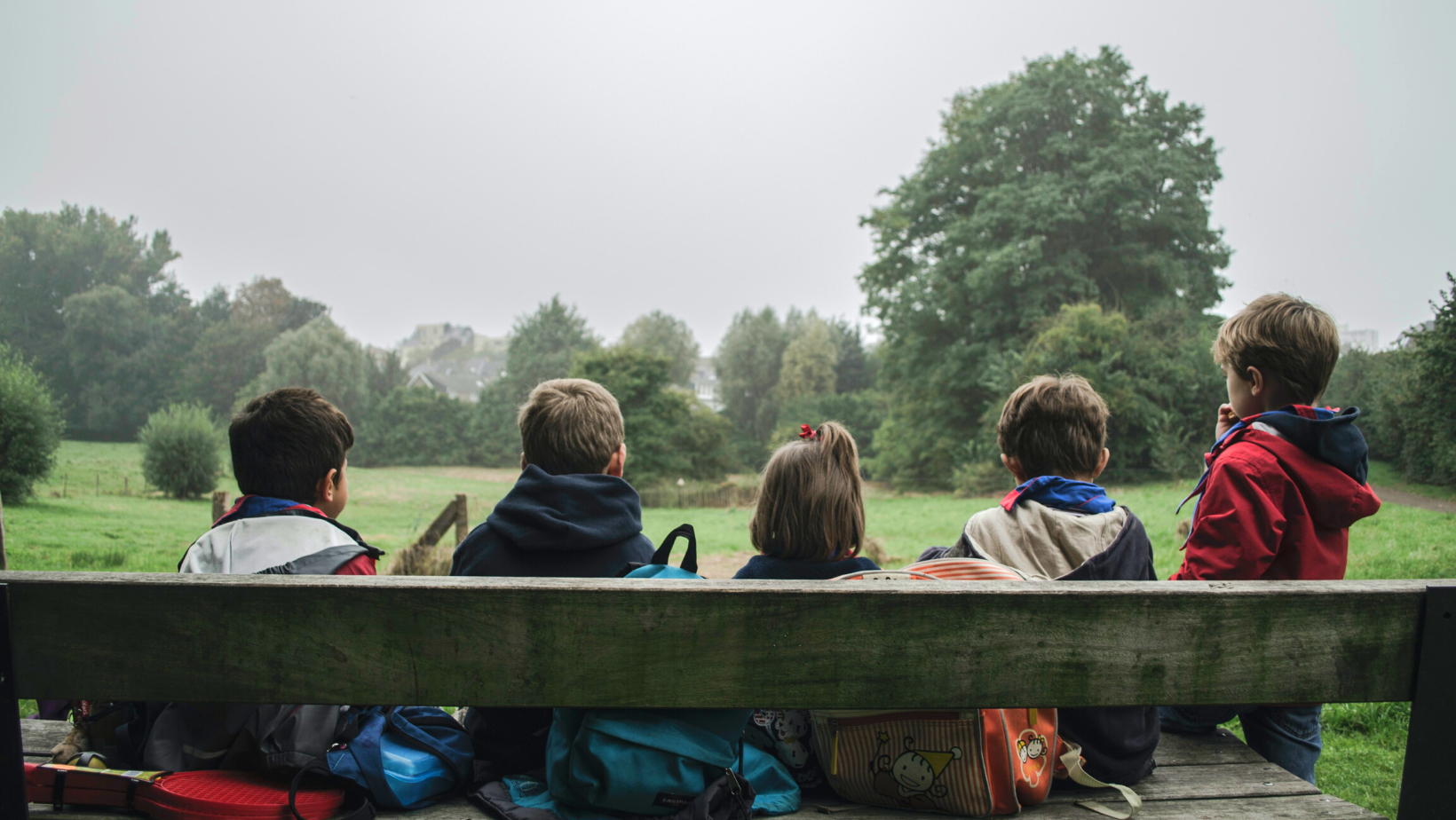 YACD holder website image A photograph of the back view of five children sitting on a bench in the park, looking at the trees.