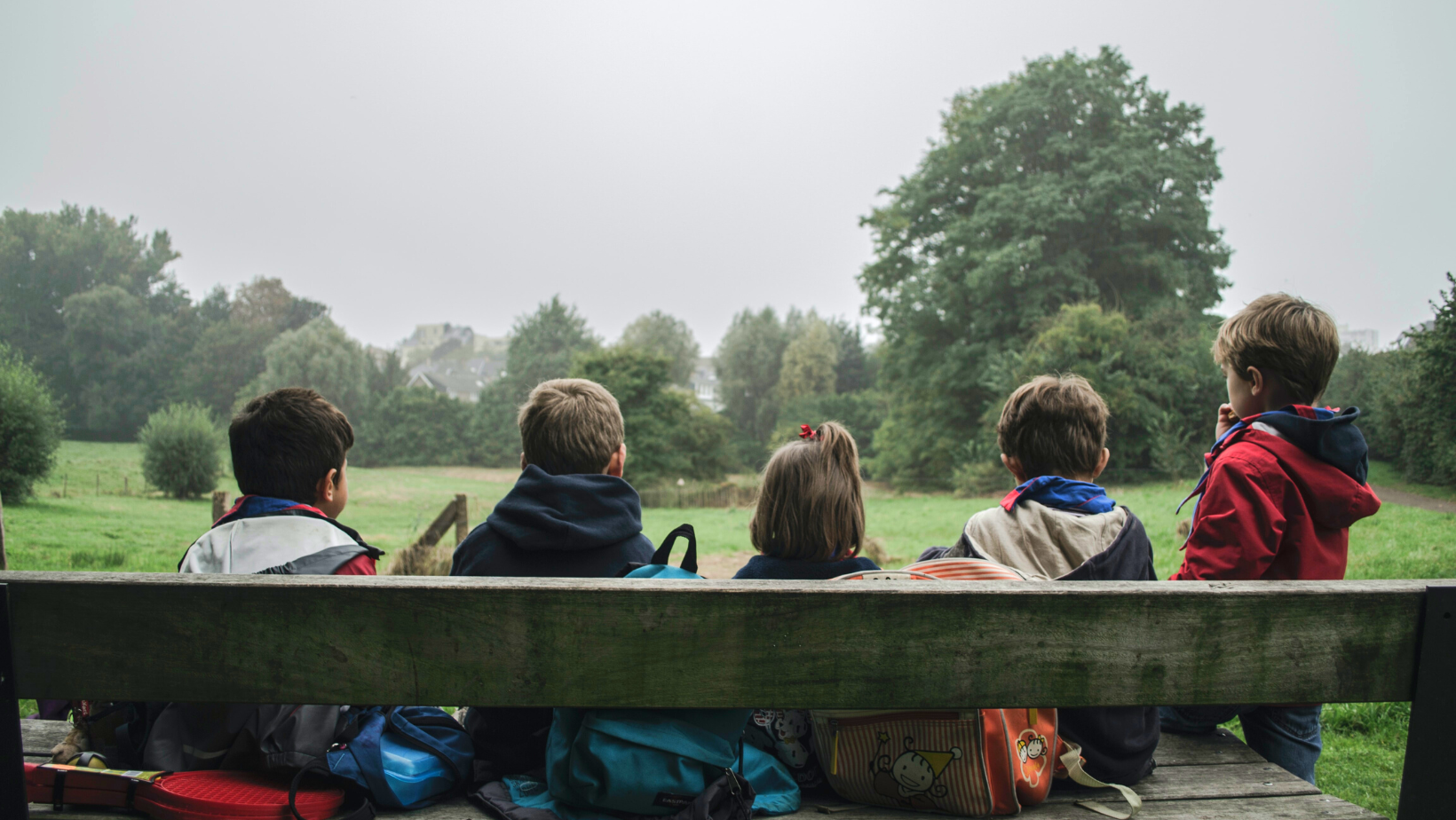 A photograph of the back view of five children sitting on a bench in the park, looking at the trees.