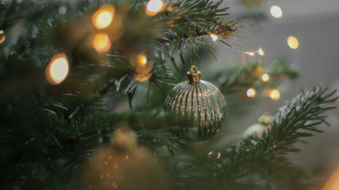 Bauble and lights on a tree