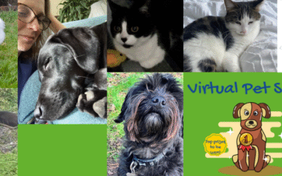 Enter our Virtual Pet Show!