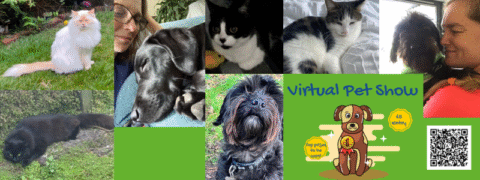 Banner with images of cats and dogs