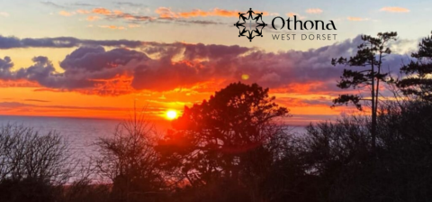 Image of sunset over the sea with trees in the foreground.