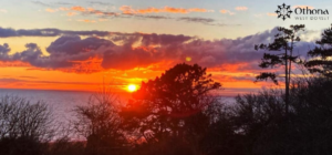 Image of sunset over the sea with trees in the foreground.